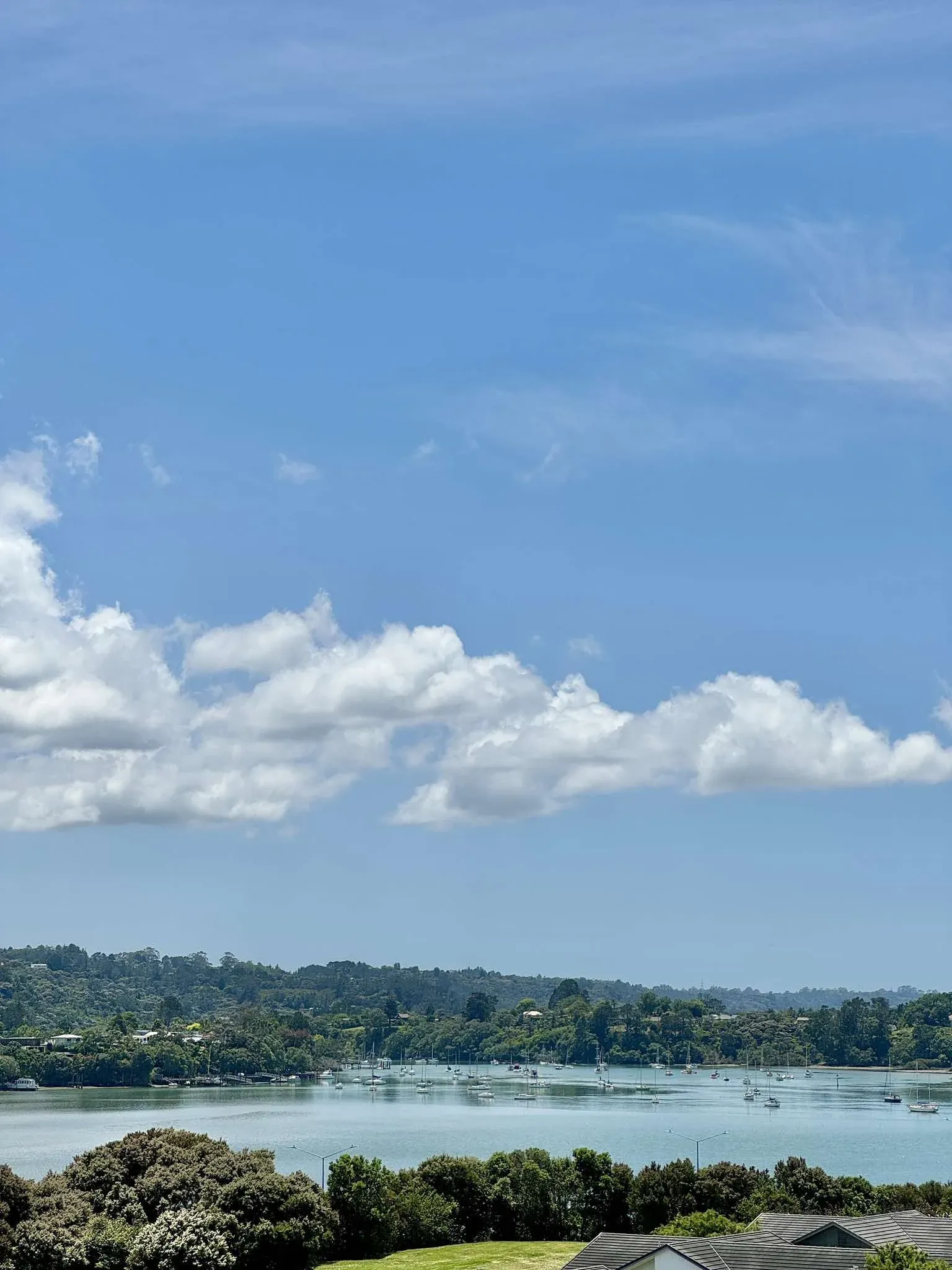 C i Marketing's Top Tips for the 09, Auckland, 2025
